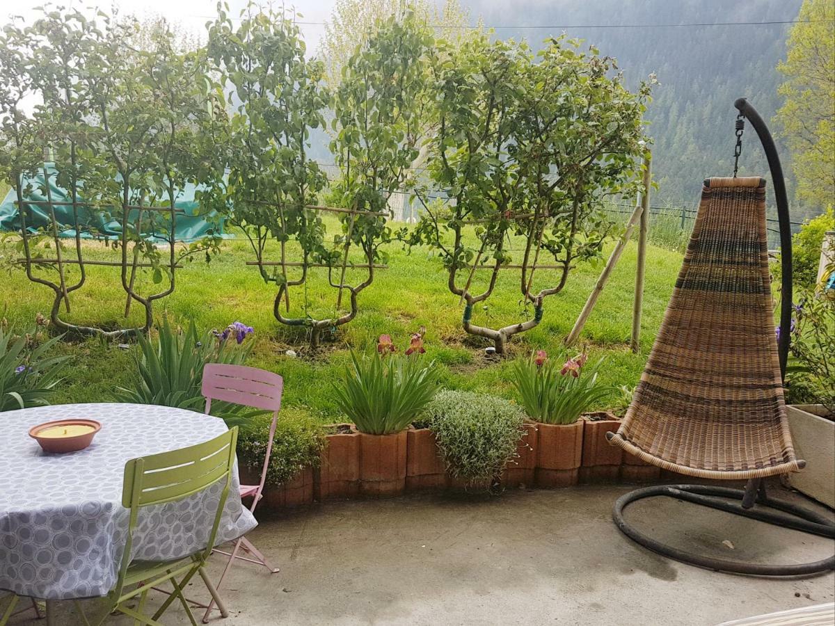 Chaleureux 2 Pieces Avec Terrasse A